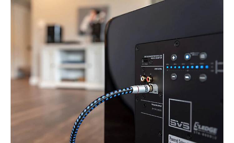 RCA Interconnect Cable